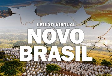 LEILÃO VIRTUAL NOVO BRASIL